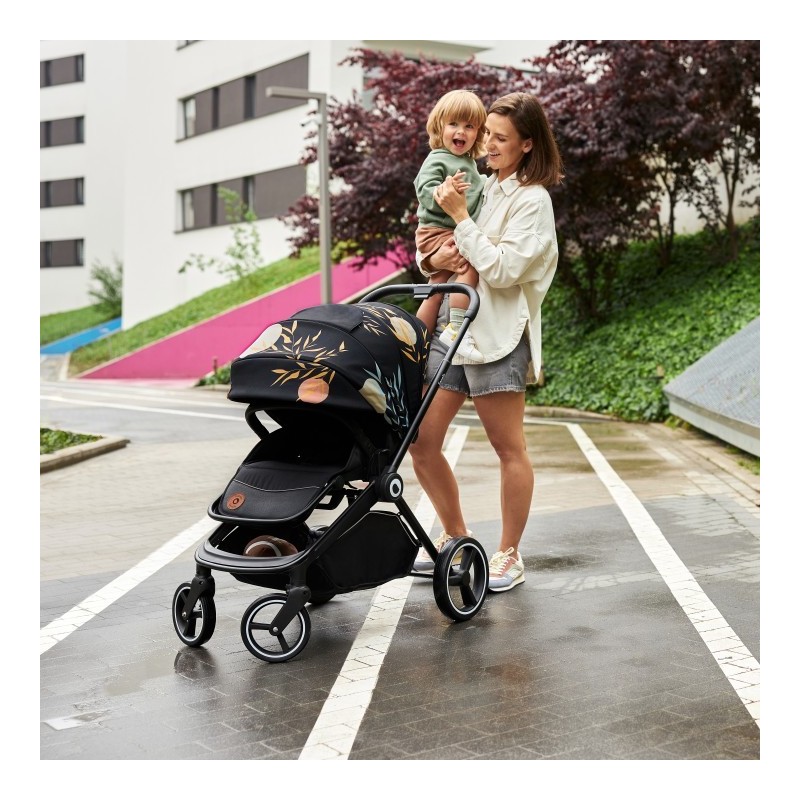 Lionelo Mika 2 en 1 Grey Graphite — carrito multifuncional