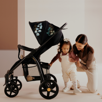 Lionelo Annet Plus Golden Moments — silla de paseo