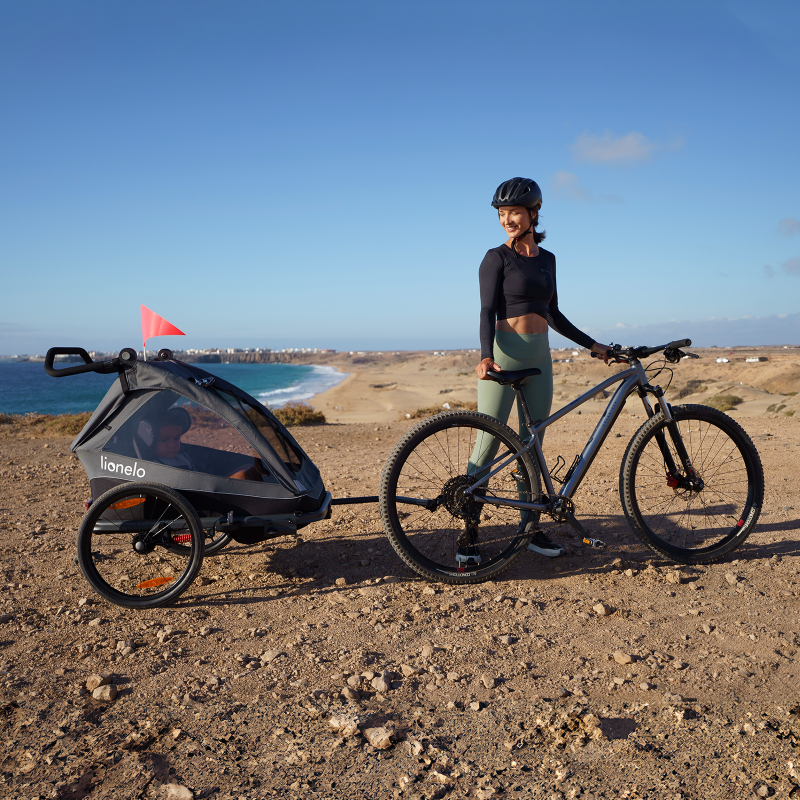 Lionelo Cama Grey Stone — remolque para bicicleta con función de cochecito